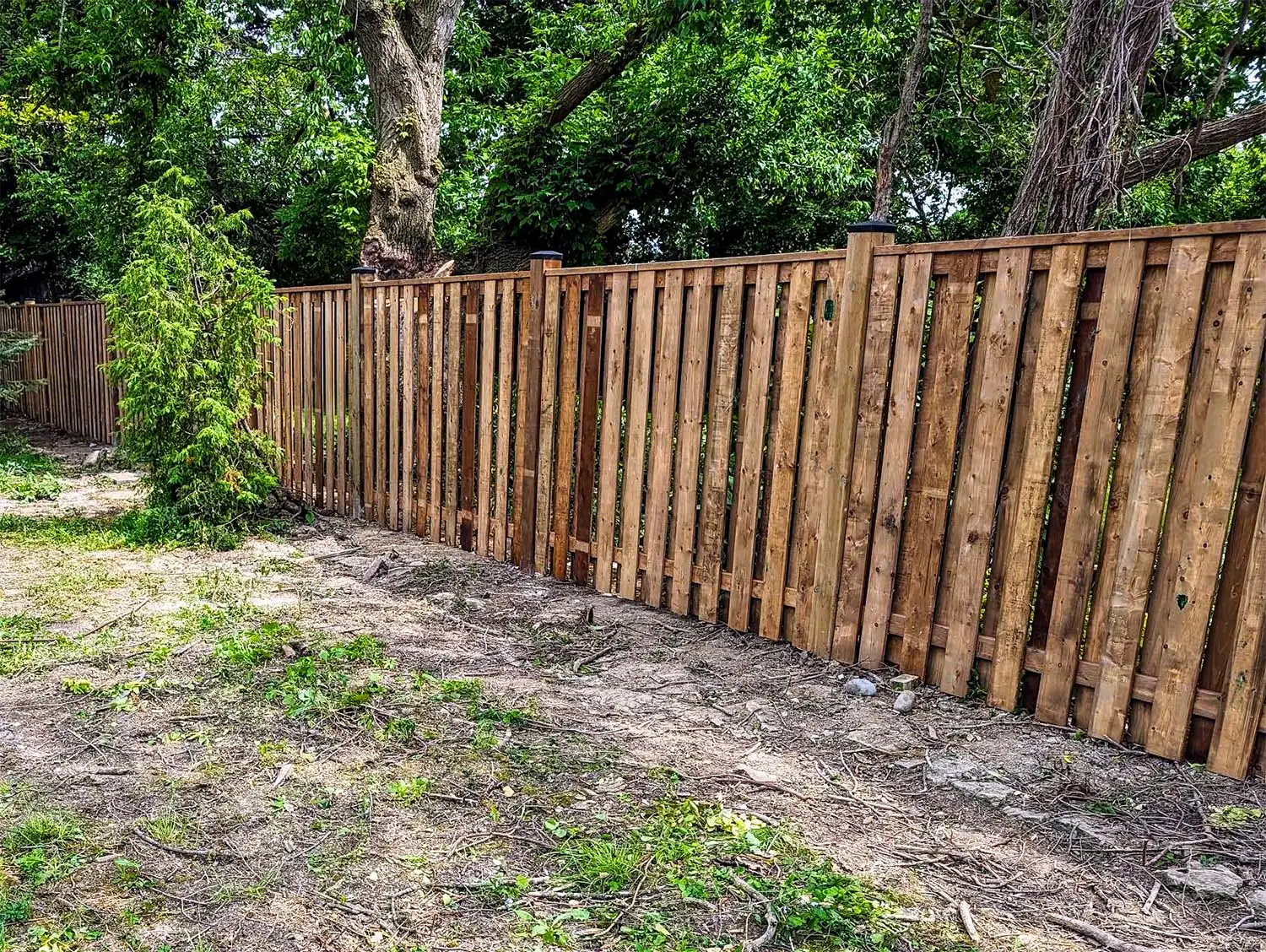 Roy testimonial image 1